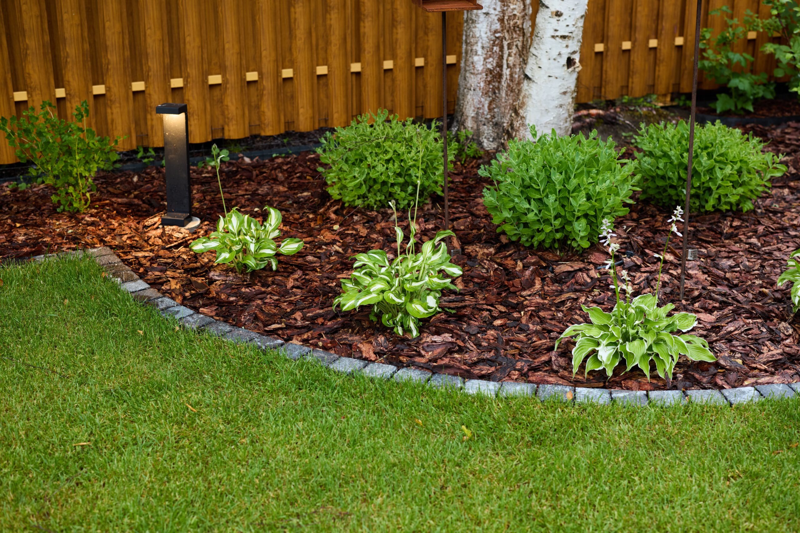 Explore,A,Beautifully,Designed,Garden,With,Lovely,Mulch,And,Captivating